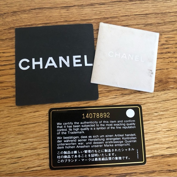 Chanel 2010 Collection Arctic Polar Ice Accordion Flap Bag - Picture 14 of 16